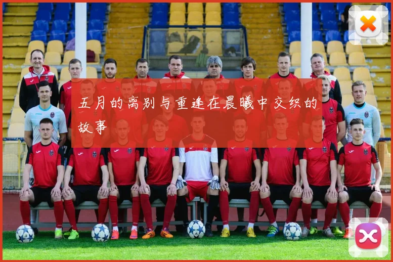 五月的离别与重逢在晨曦中交织的故事